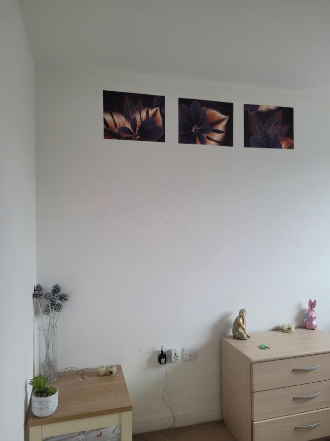 Room Near Heathrow Airport Хилингдън Екстериор снимка